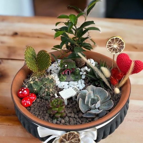 Bonzai Teraryum Aranjmanı.