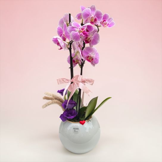 Deluxe Vazoda Pembe Orkide